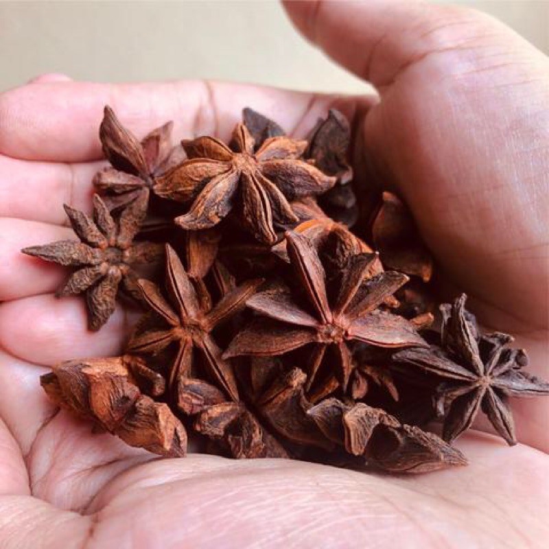 [COD] 25Gr STAR ANISE/PEKAK/BUNGA LAWANG PREMIUM (asli bunga lawang,kualiatas ekspor)