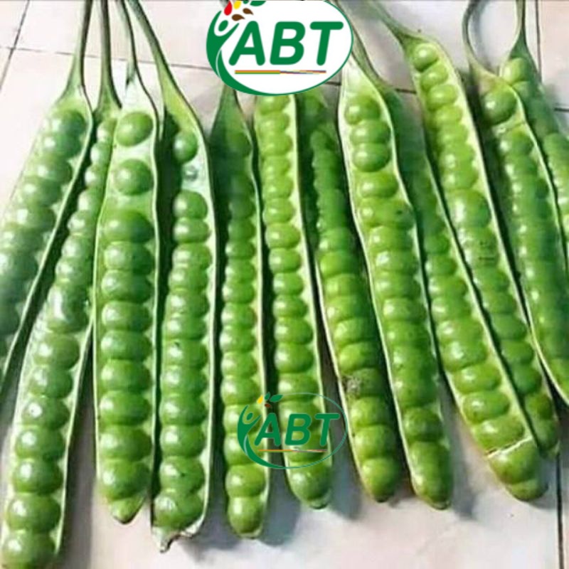 

pete petai besar sayur mayur sayuran segar fresh bersih kupas kulit 1ikat isi 20 lonjor