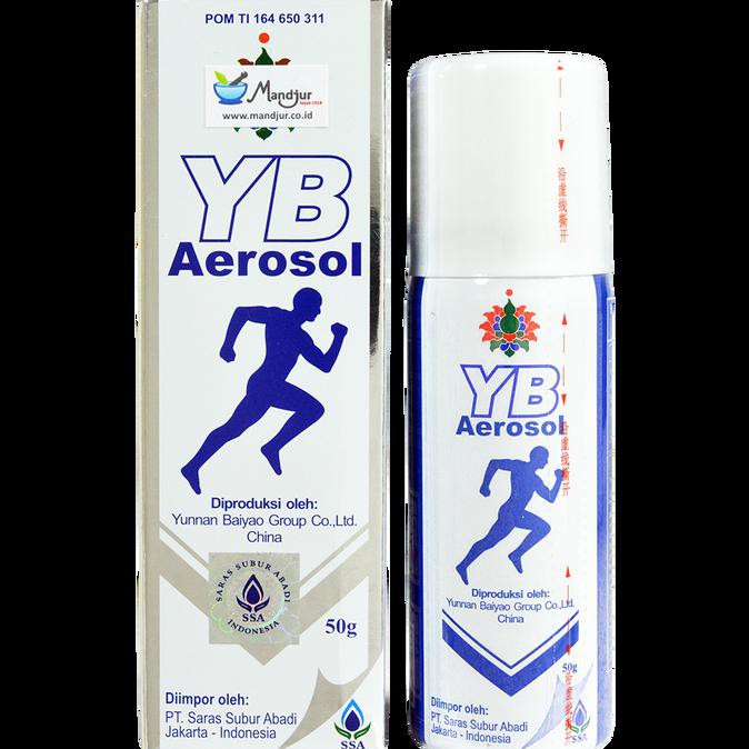 Yunnan Baiyao Aerosol 50 G '