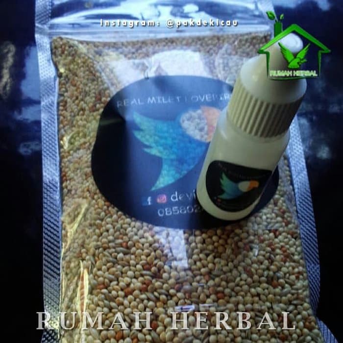paket hemat real doping lovebird konslet devibirdshop lovebird paud Terlaris