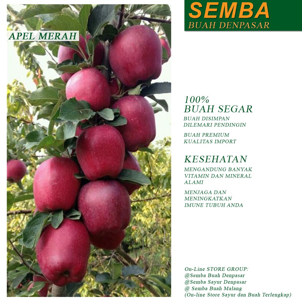 

APEL MERAH buah fruit sayuran sembako food makanan pangan fresh segar murah DENPASAR BALI
