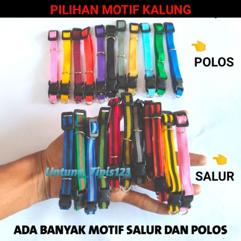 kalung katun lonceng kuningan premium kalung kucing  kelinci musang anjing kalung tali katun buat hewan