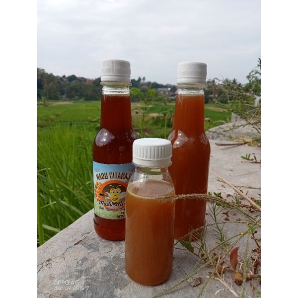

madu klenceng/teuweul/trigona