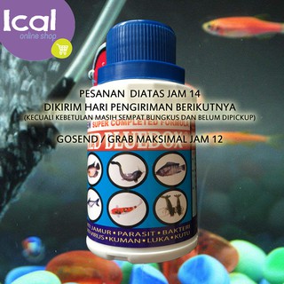 RED BLUEDOX Obat  Ikan Anti  Jamur Parasit Bakteri  Kuman 