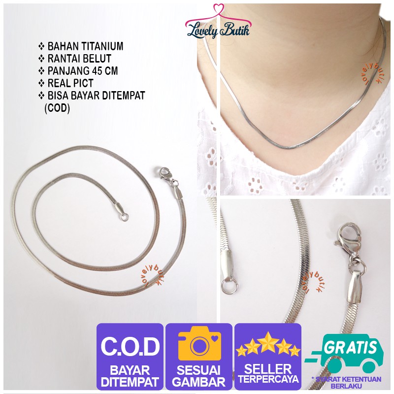 Lovelybutik Kalung Titanium Anti Karat Rantai Kalung Titanium Belut Pipih Lentur Ukuran 45 Cm