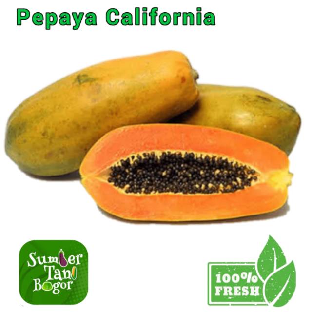 

PEPAYA CALIFORNIA PER 1 Kg ~ 1.2 Kg