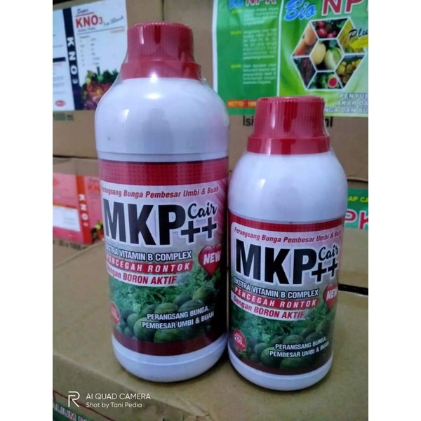 MKP cair++ 500ml perangsang bunga pembesar buah