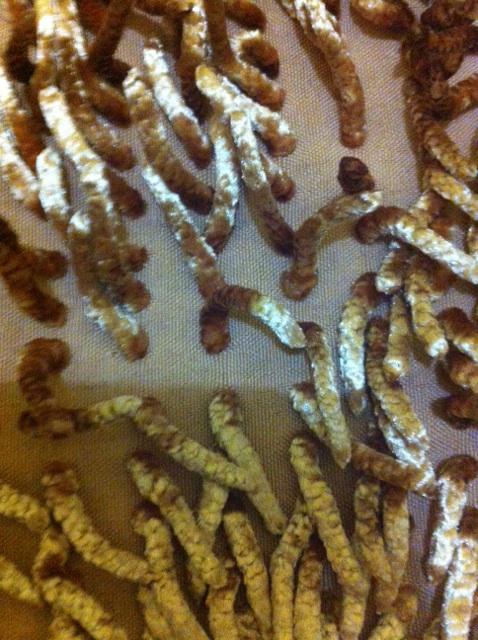 Keset Cendol Glossy Kilap