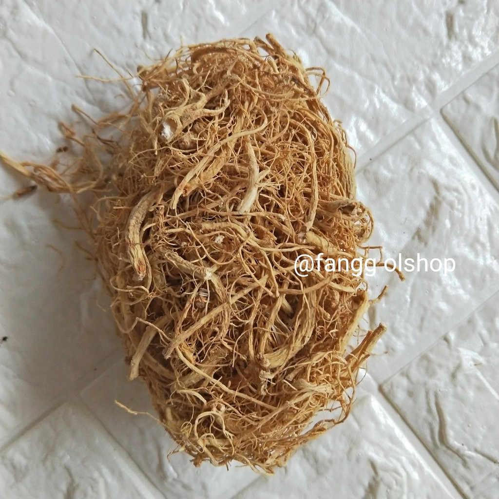 

Akar Ginseng Yang Shen Xu/ Som Chiu Somchiu Somciu/ Jong Sem Si