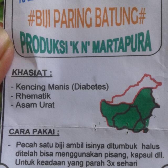 

#BIJI PARING BATUNG #