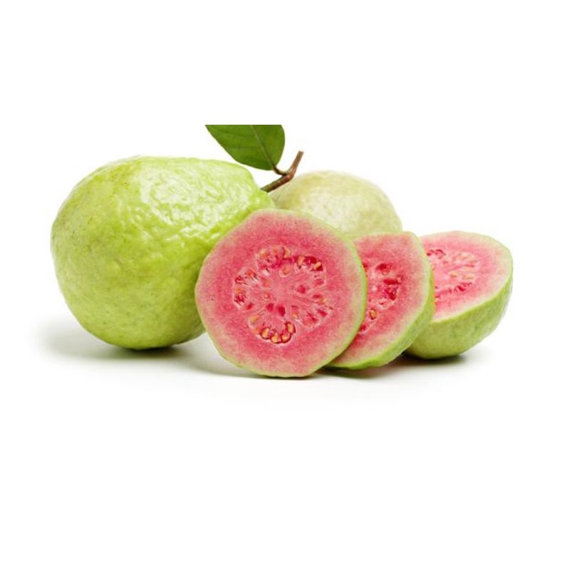 

Guava (jambu merah) fresh 1 kilogram