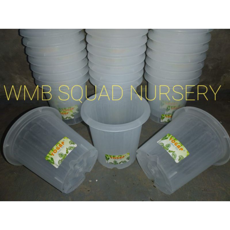 Pot Yogap YPT 19 bening/transparan