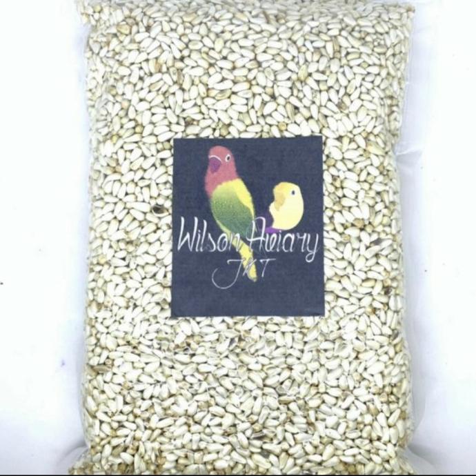 

BIJI KUACI PUTIH SAFFLOWER KUACI PUTIH KEMASAN VACUUM 800GRAM