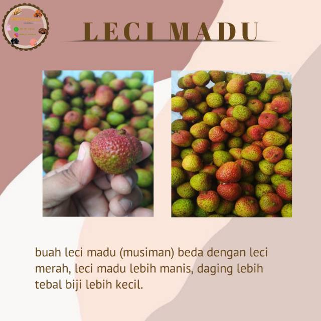 

Leci madu