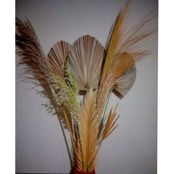 TERMURAH] Paket lengkap daun palem kering | bunga kering | dekorasi rustic