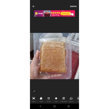 

sarang madu murni