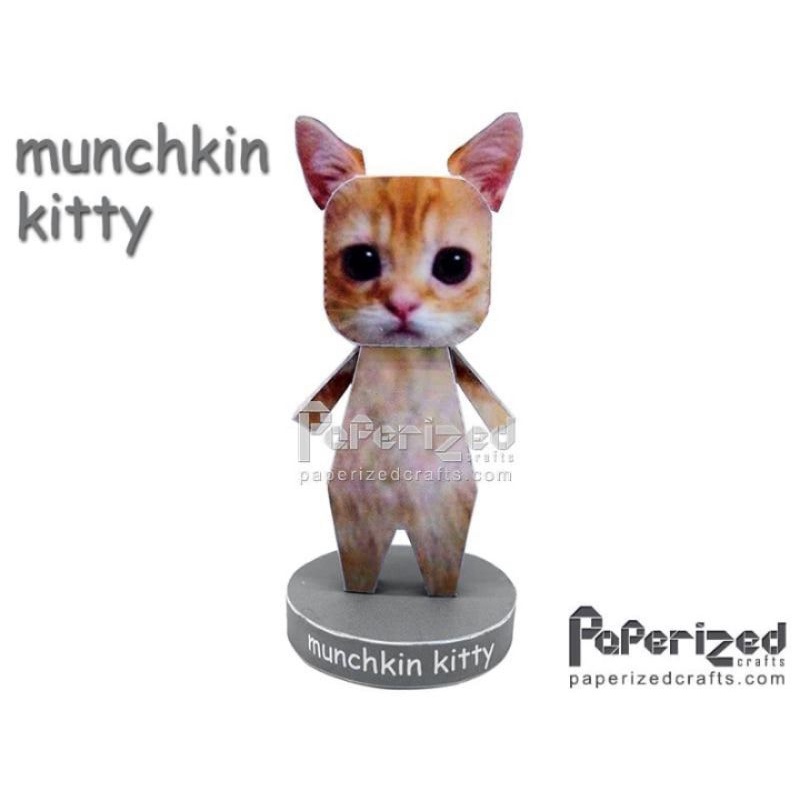 Dudul Tik Tok Viral/ Dudul Kucing/Munchkin Cat/ Viral/ Mainan Kucing