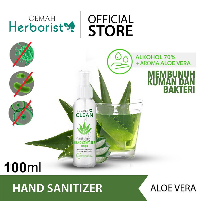 Secret Clean Hand Sanitizer - 100 ml Spray