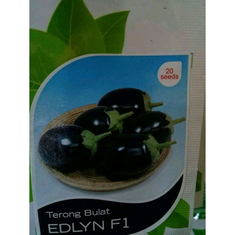 TERONG BULAT ISi 20 CAP PANAH MERAH