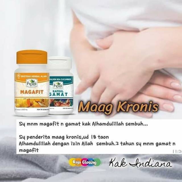 Paket Maag Kronis Magafit Dan Gamat Hni Indonesia