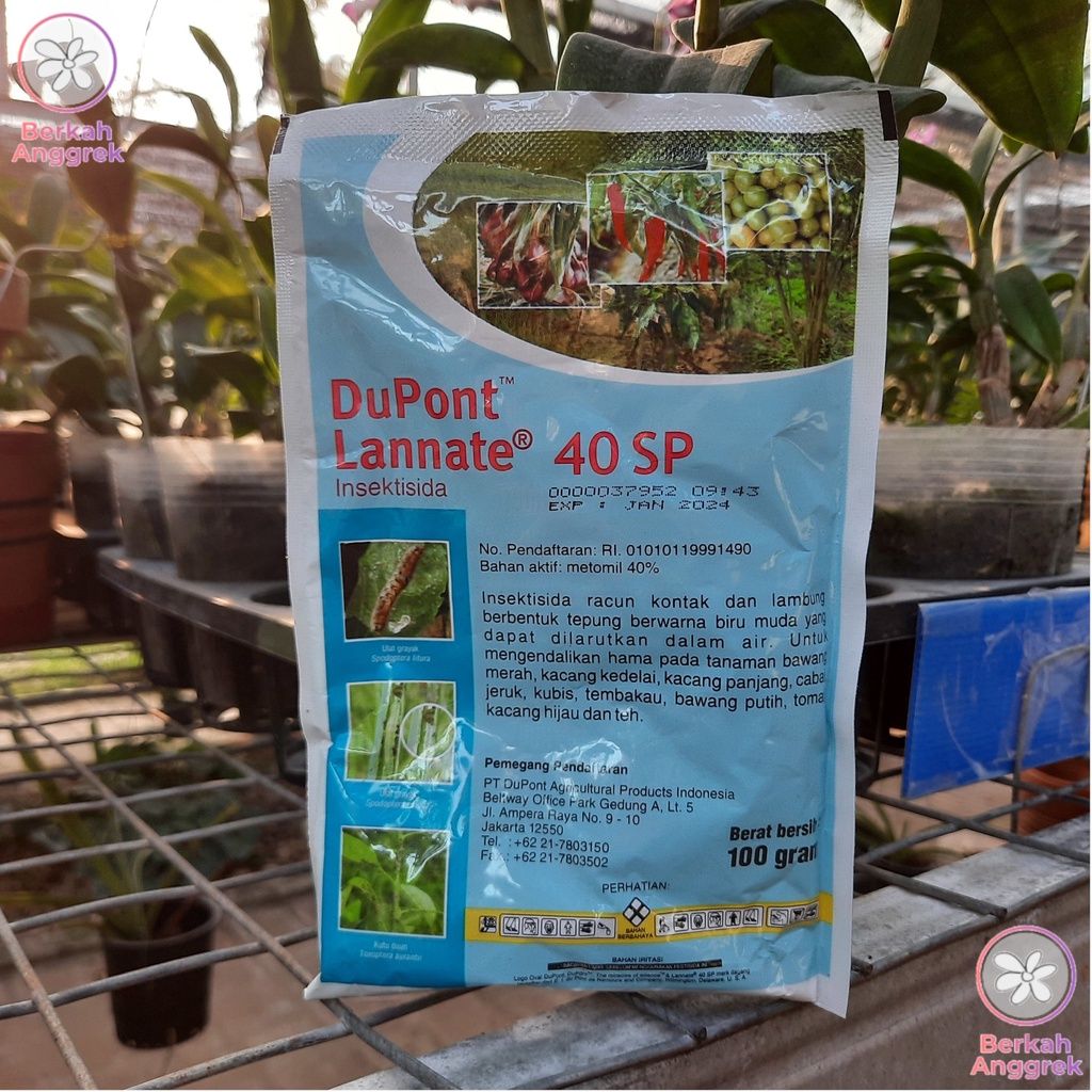 Dupont Lannate Biru 100 Gram Insektisida