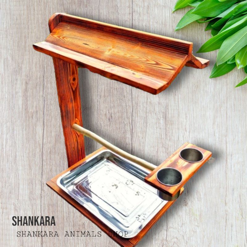 Tangkringan burung nuri ,falk,paruh bengkok tempel dinding