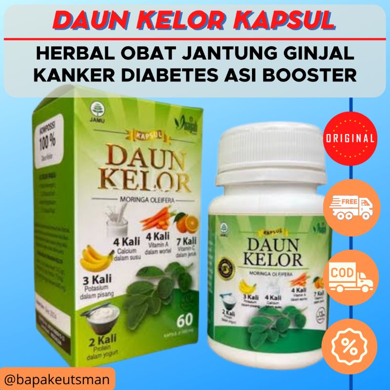 DAUN KELOR KAPSUL ORIGINAL [INAYAH] – HERBAL OBAT MENGATASI JANTUNG GINJAL KANKER DIABETES MEMPERKAYA ASI / ASI BOOSTER