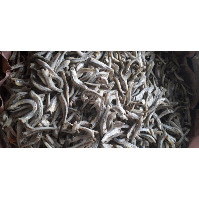 

Ikan teri