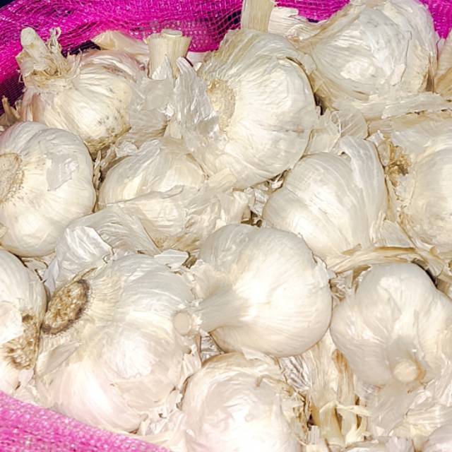 

Bawang putih kating 250 gr / bawang putih / kating / Garlic