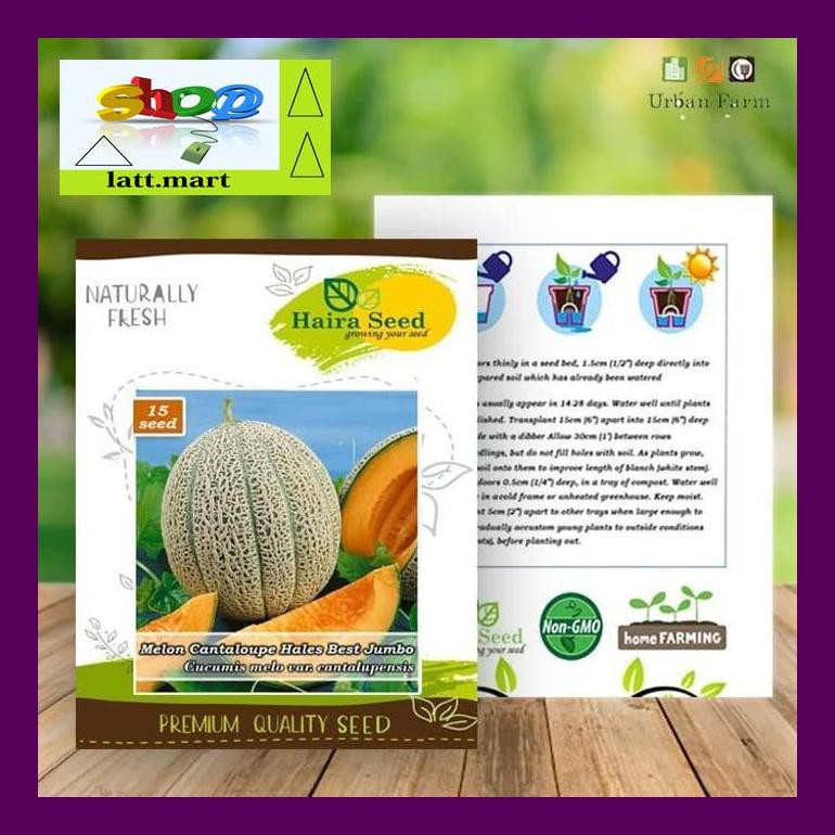 

Hadul Benih-Bibit Melon Cantaloupe Hales Best Jumbo (Haira Seed) Uula0F4H4