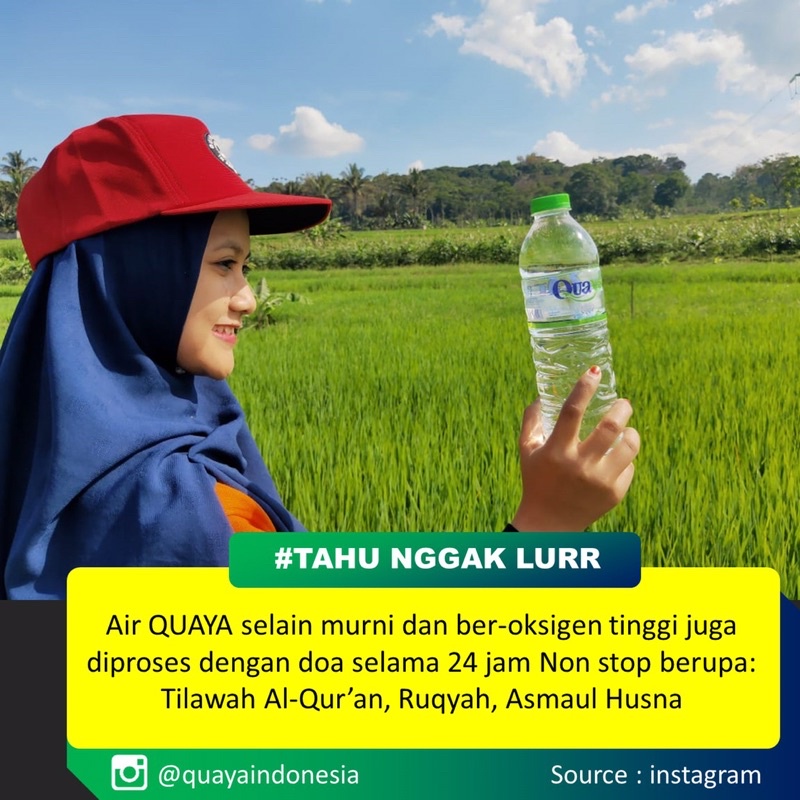 

Quaya kemasan botol 330ml