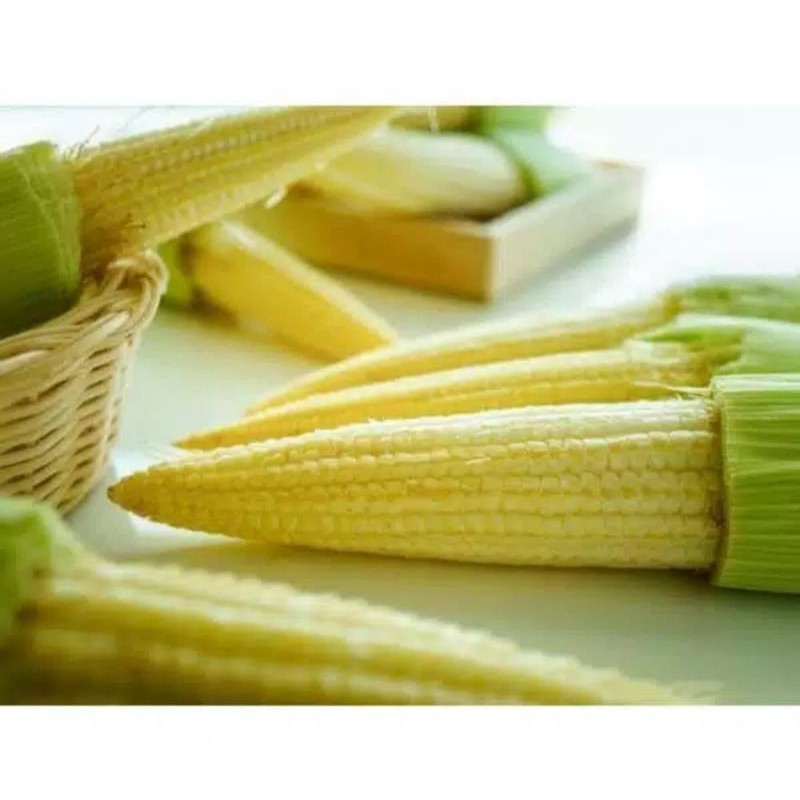 

Putren / Jagung kecil / Jagung baby per 500 gram