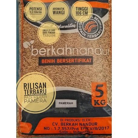 Terbaru.. Benih Padi Merah Pamera / Padi Aromatik Wangi / Benih Padi Merah Pulen Wangi