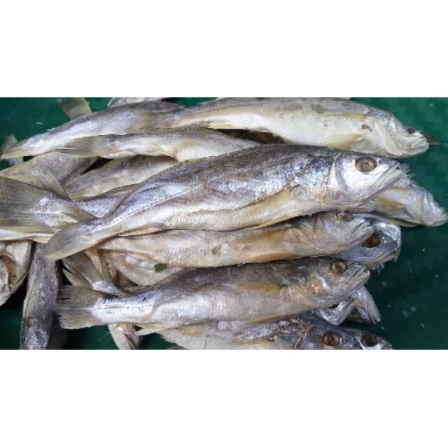 

Ikan Asin Gulama Samge ( @ 500 Gr ).