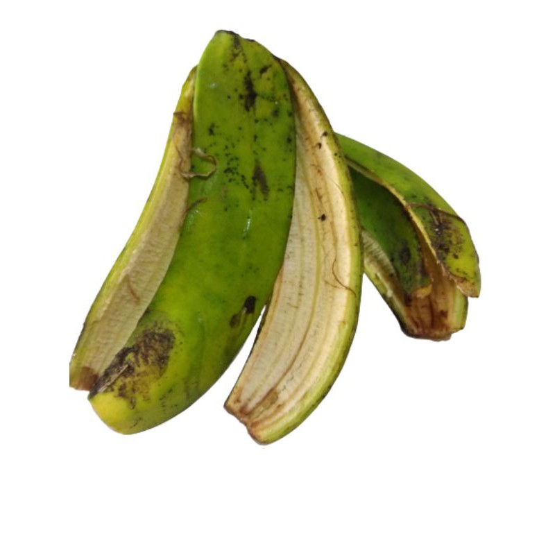 

KULIT PISANG SEGAR 1KG