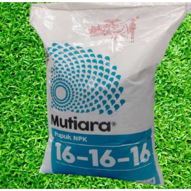 Pupuk NPK Mutiara 161616 ORI RUSIA