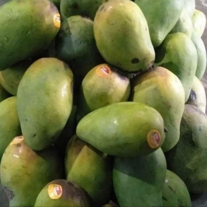 

Mangga Harum Manis 1 kg