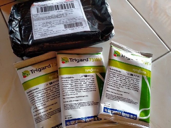 Insektisida Trigard 75 Wp Kemasan 50 Gr