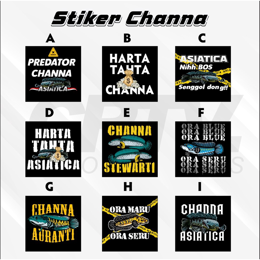 Stiker Channa Murah Stiker Kotak Stiker MARU AURANTI PULCRA ASIATICA STEWARTI Terlaris - Crtv