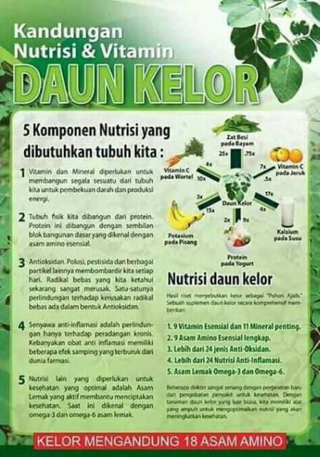 Serbuk daun kelor 100 gram / bubuk daun kelor / Kelor