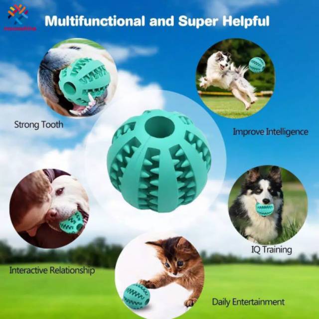 Mainan Gigit Anjing &quot;FEEDER BALL&quot; Dog Chews Toy