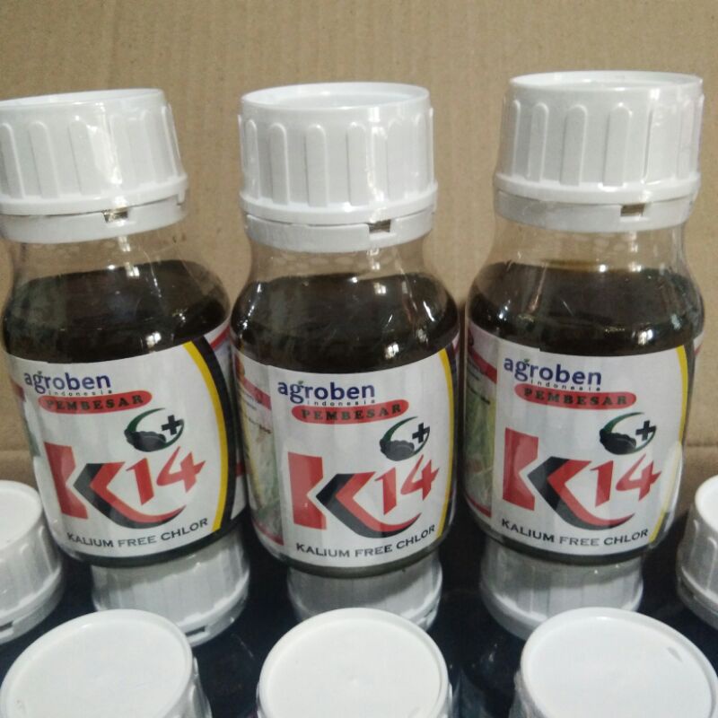 Agroben K14 pembesar umbi dan Buah