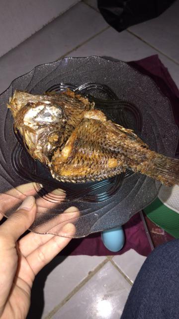 Panci Teflon Listrik + Kukusan Panci Multifungsi Instan Pan Elektrik 18cm /panci Elektrik Serbaguna