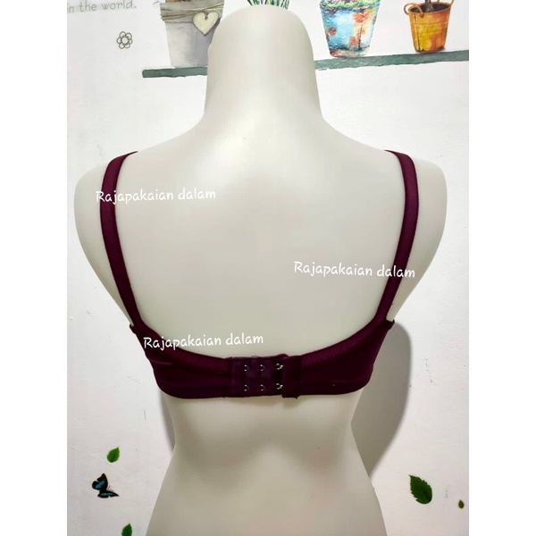 BH Golden Nick Busa Tipis / Bra GN K 364