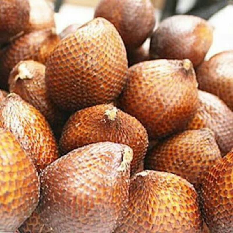 

salak pondoh