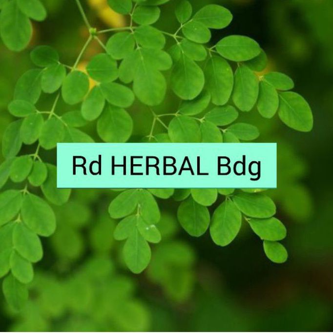 

Jual terbaru daun kelor 200 gram murni segar