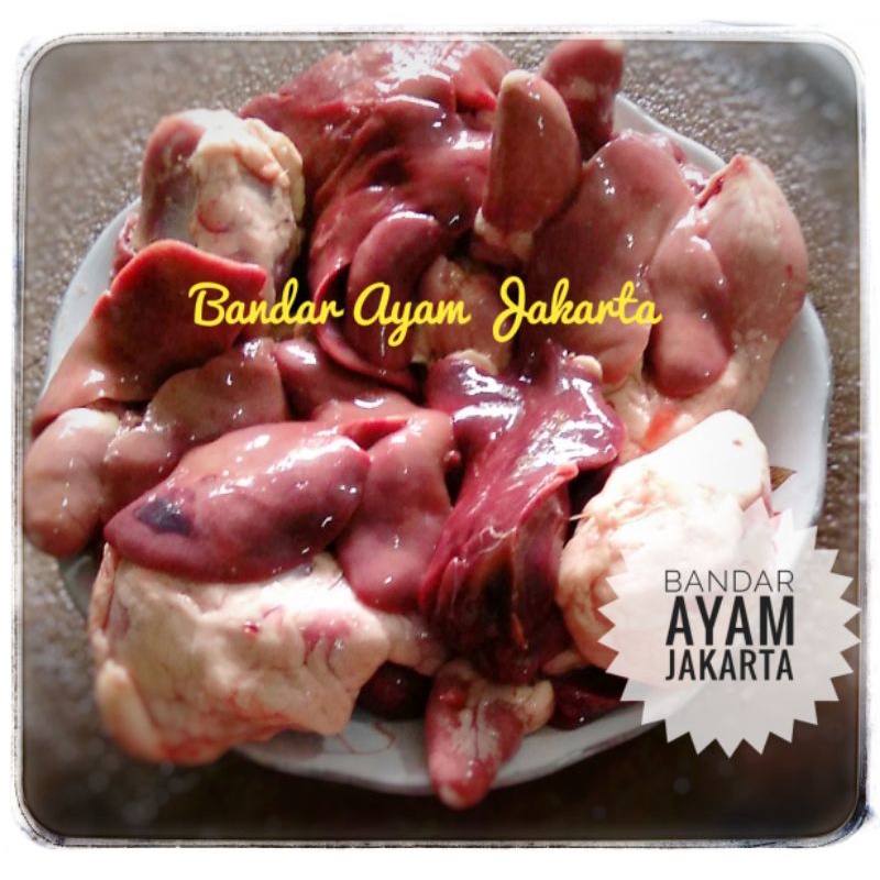 

Hati Ampela Ayam Fresh/Pcs/Hati Ampela Ayam Segar/Ayam Segar Potong