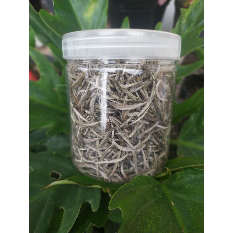 

Teh putih White Tea Silver Needle 75 gr Asli
