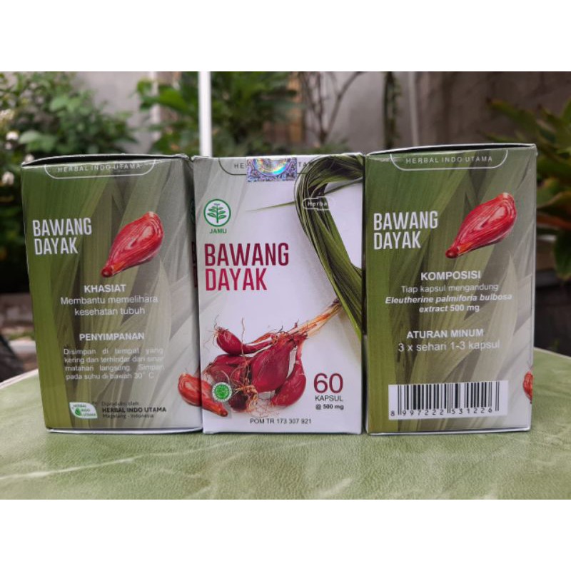 Kapsul Ekstrak Bawang Dayak 60caps BPOM - Herbal Kholestrol, Kanker - BAWANG DAYAK ORIGINAL