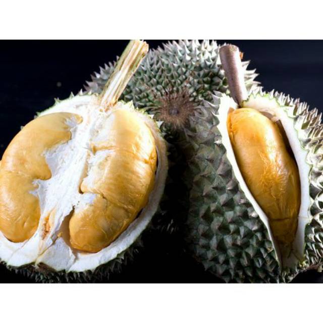Bibit Durian Duri Hitam